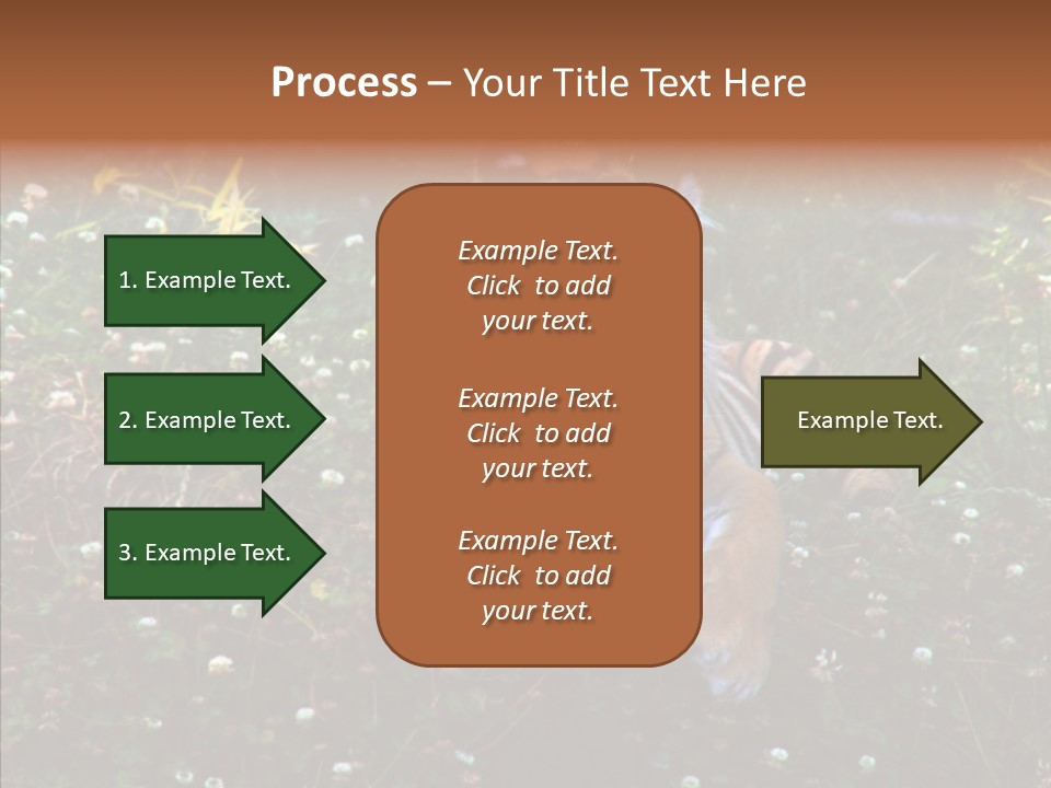 Cat Lying Watchful PowerPoint Template