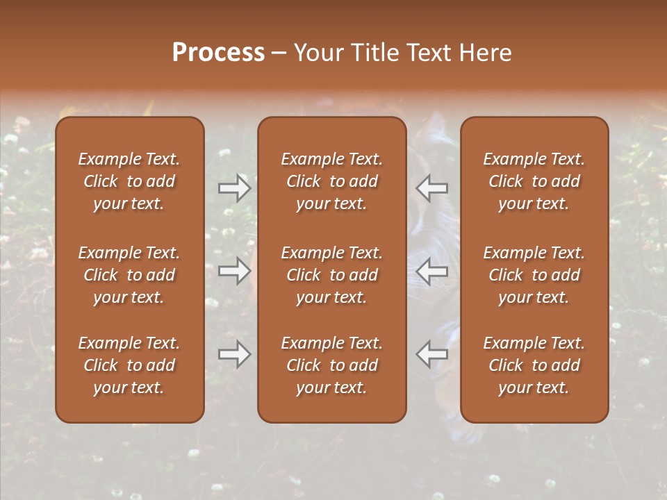Cat Lying Watchful PowerPoint Template