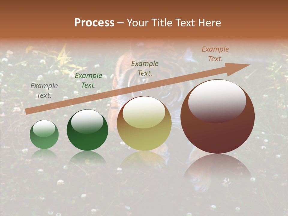 Cat Lying Watchful PowerPoint Template