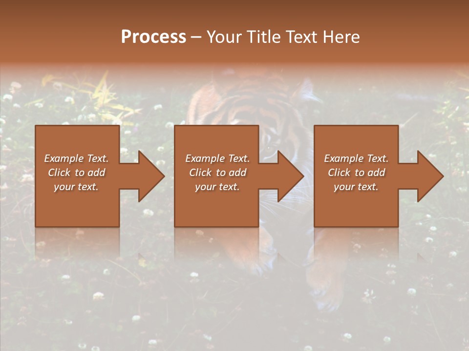 Cat Lying Watchful PowerPoint Template