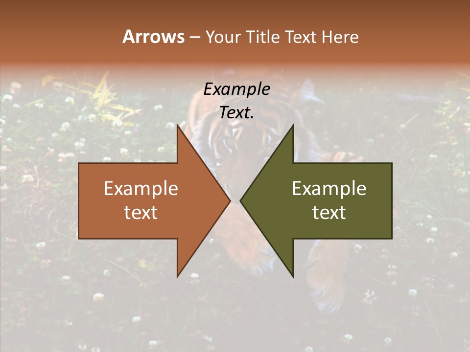 Cat Lying Watchful PowerPoint Template