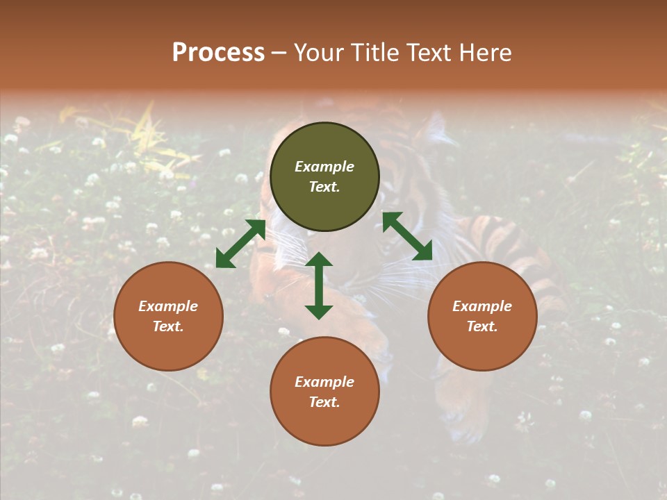 Cat Lying Watchful PowerPoint Template