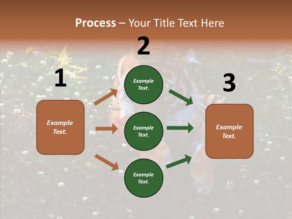 Cat Lying Watchful PowerPoint Template