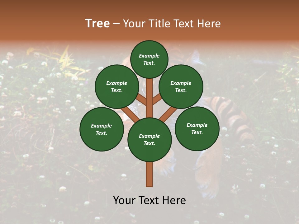 Cat Lying Watchful PowerPoint Template