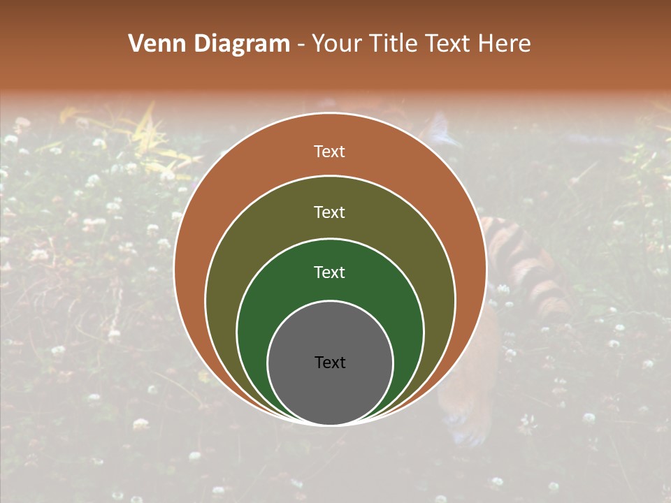Cat Lying Watchful PowerPoint Template