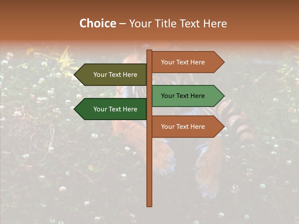 Cat Lying Watchful PowerPoint Template