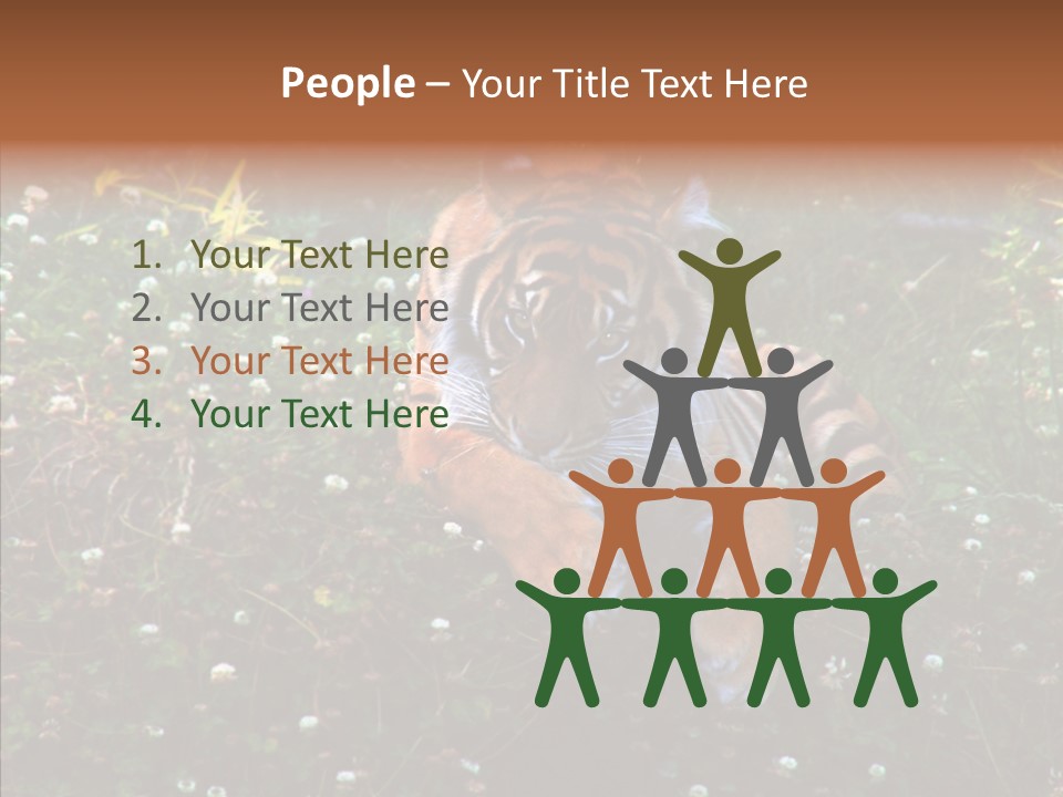 Cat Lying Watchful PowerPoint Template