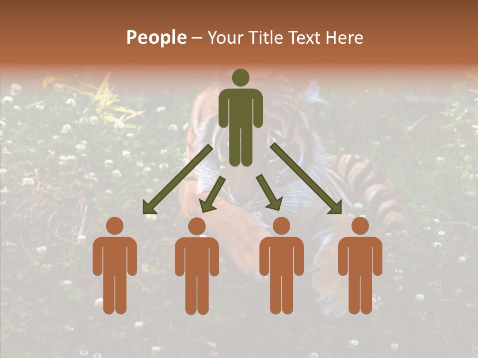 Cat Lying Watchful PowerPoint Template