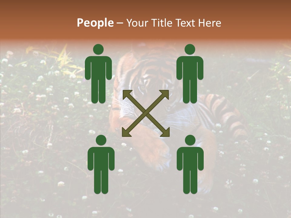 Cat Lying Watchful PowerPoint Template