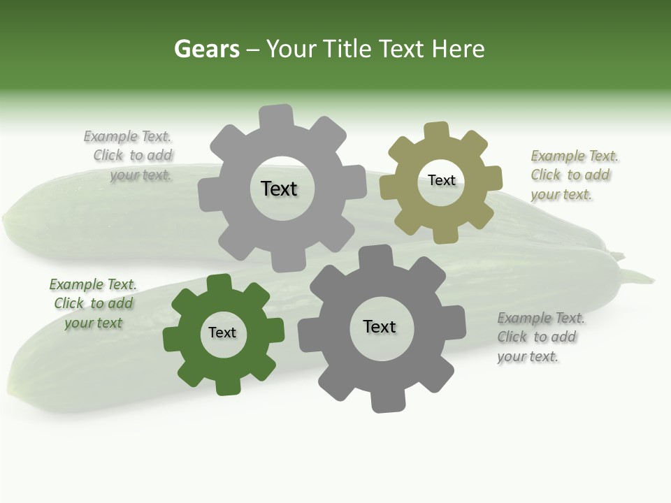 Reflecting Food Part PowerPoint Template