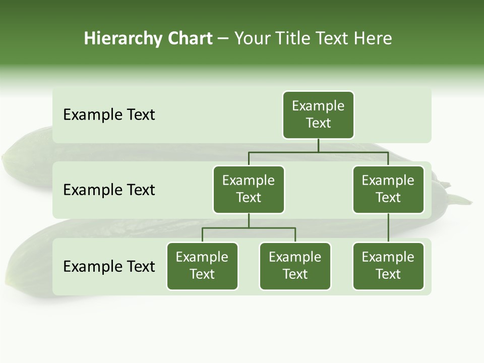 Reflecting Food Part PowerPoint Template