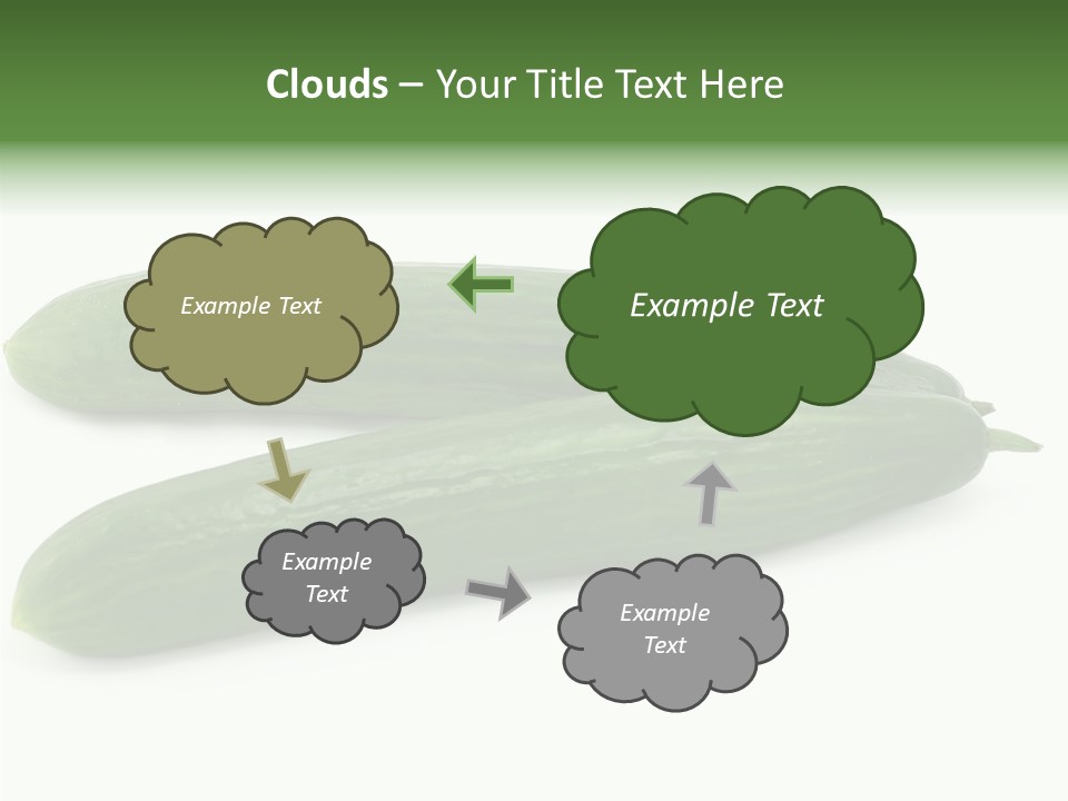 Reflecting Food Part PowerPoint Template