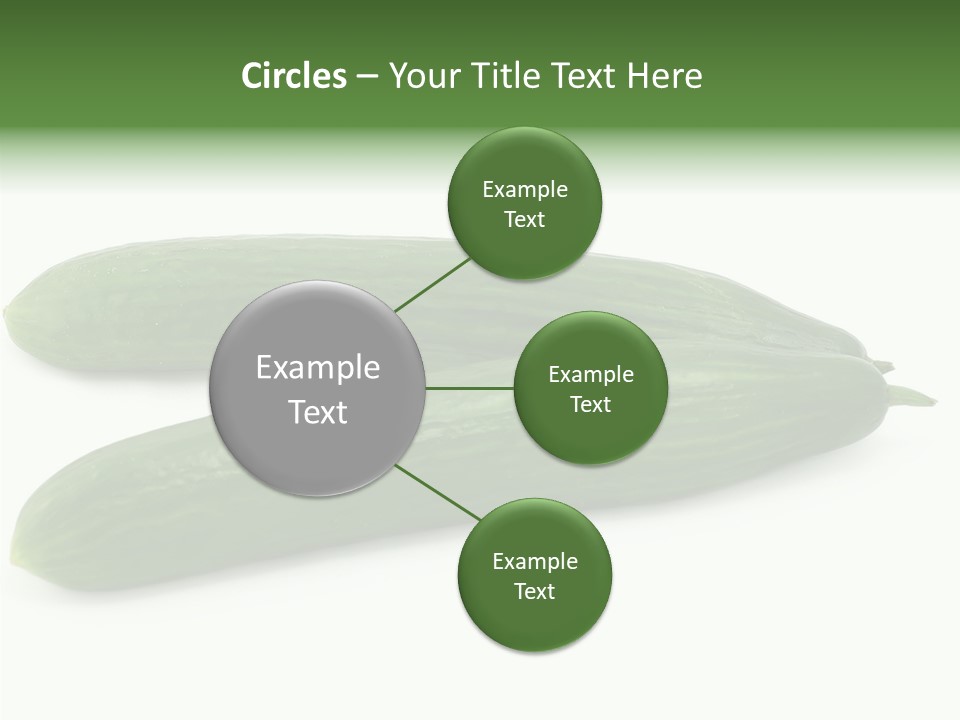 Reflecting Food Part PowerPoint Template