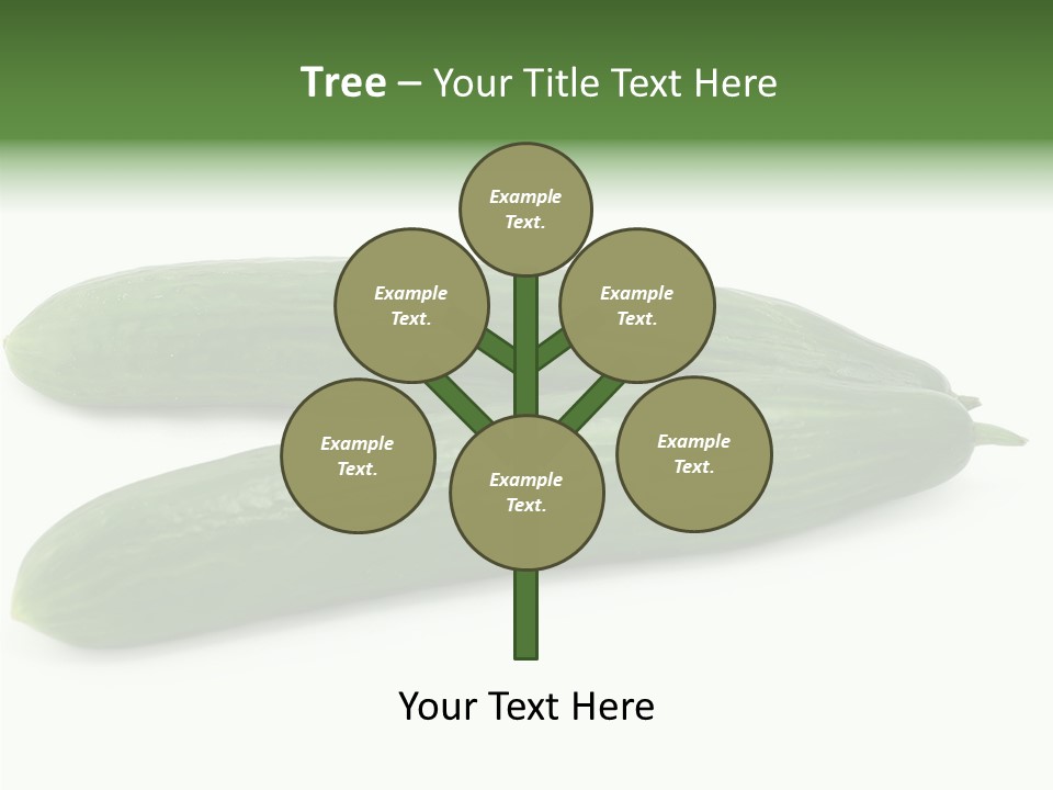 Reflecting Food Part PowerPoint Template