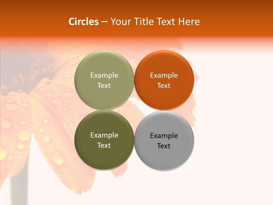 Rain Pretty Drops PowerPoint Template