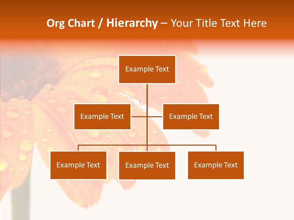 Rain Pretty Drops PowerPoint Template