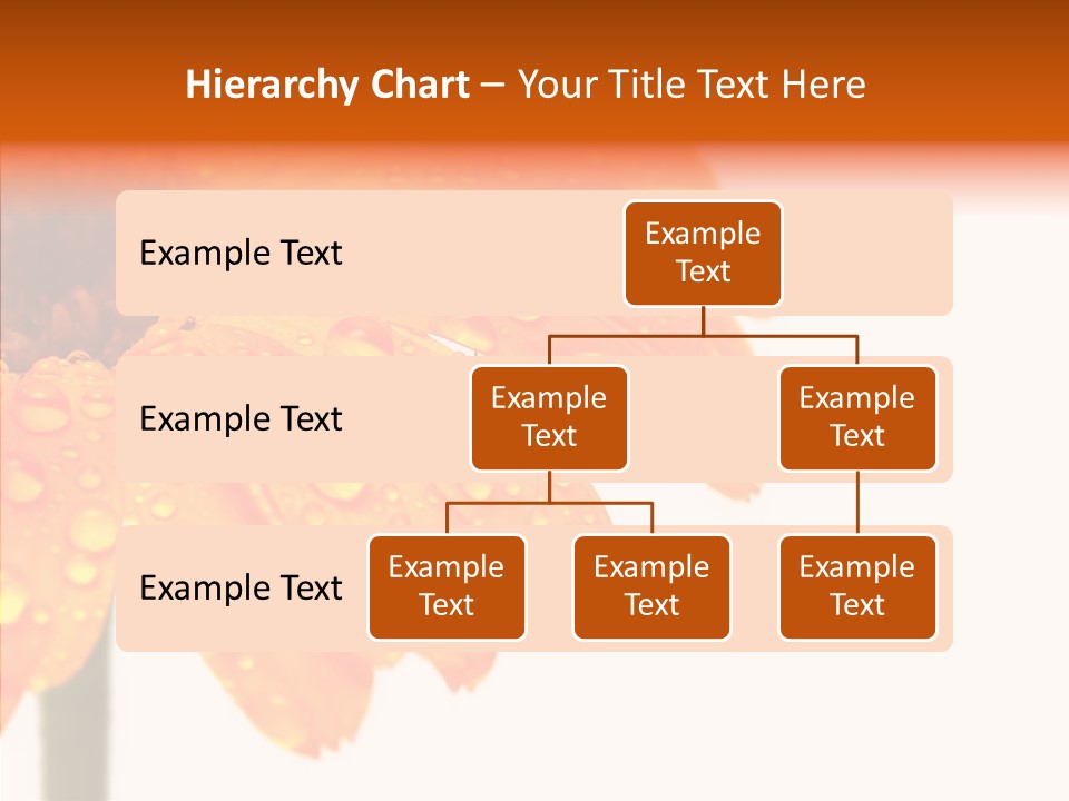 Rain Pretty Drops PowerPoint Template