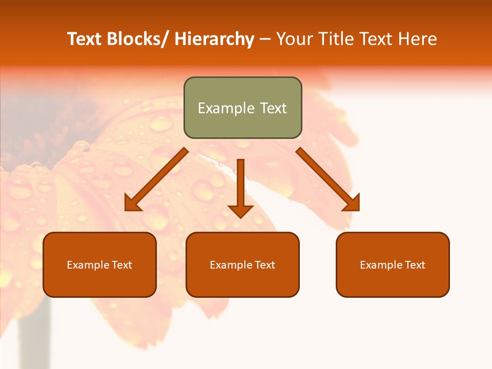 Rain Pretty Drops PowerPoint Template