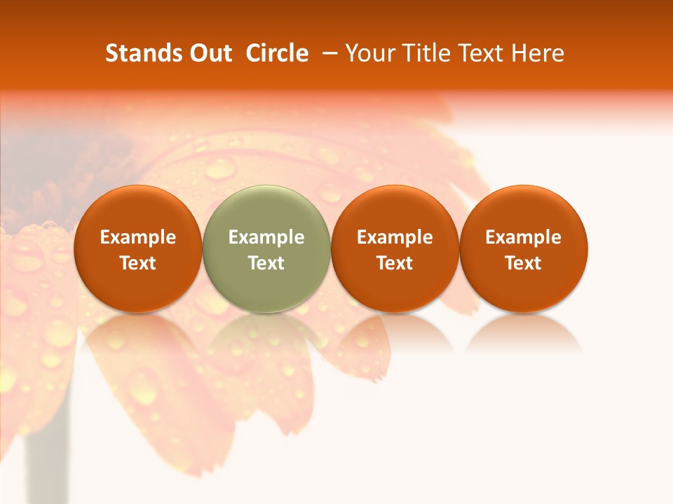 Rain Pretty Drops PowerPoint Template