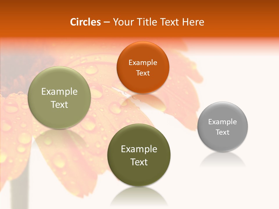 Rain Pretty Drops PowerPoint Template