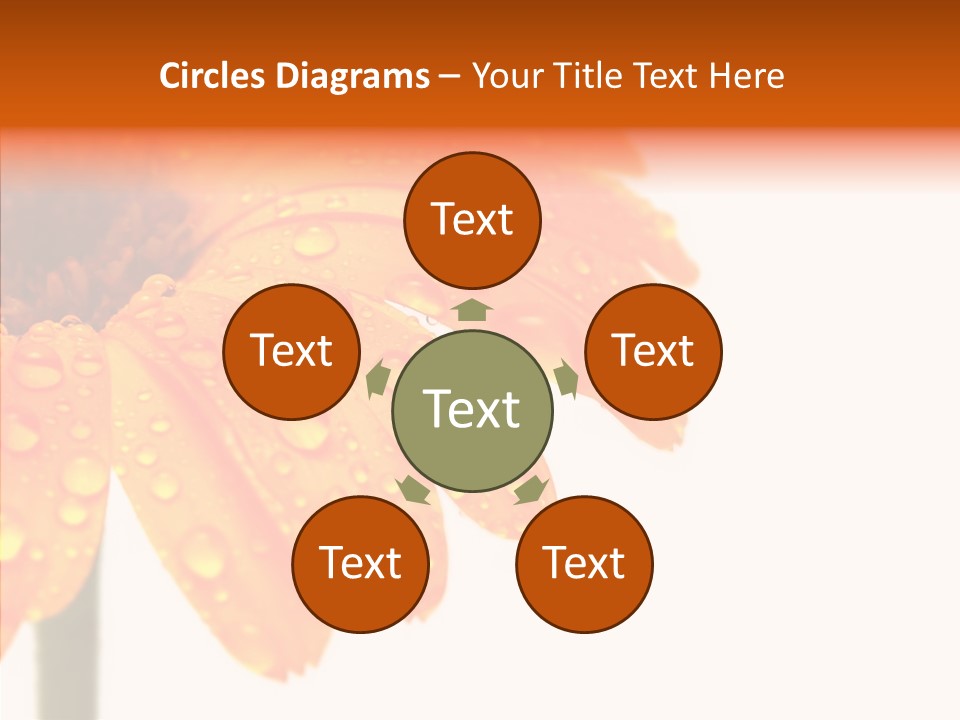 Rain Pretty Drops PowerPoint Template