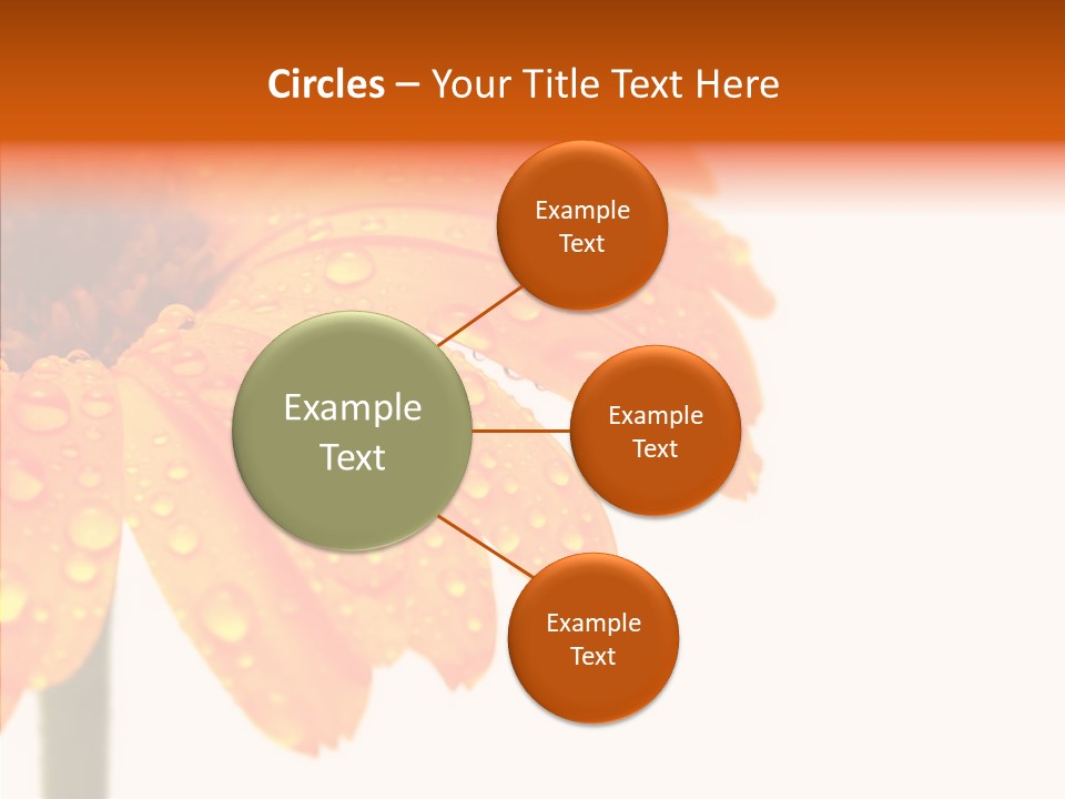 Rain Pretty Drops PowerPoint Template