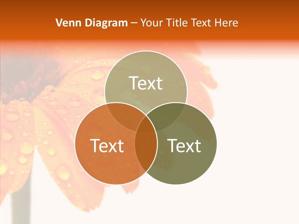 Rain Pretty Drops PowerPoint Template