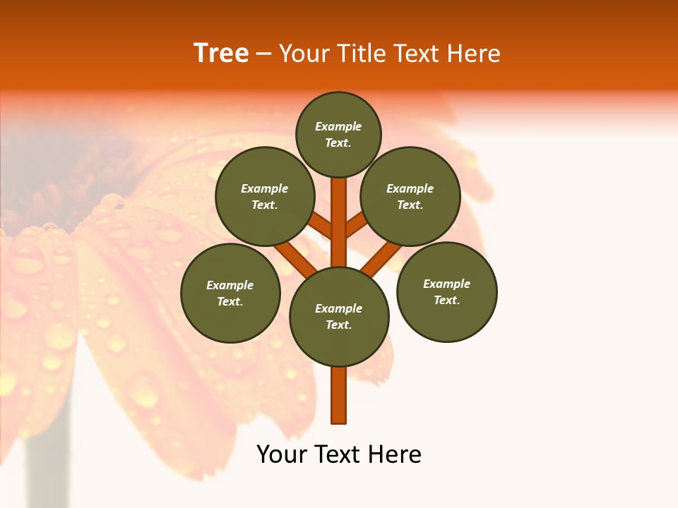 Rain Pretty Drops PowerPoint Template