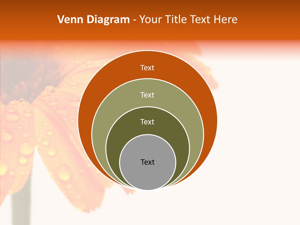 Rain Pretty Drops PowerPoint Template