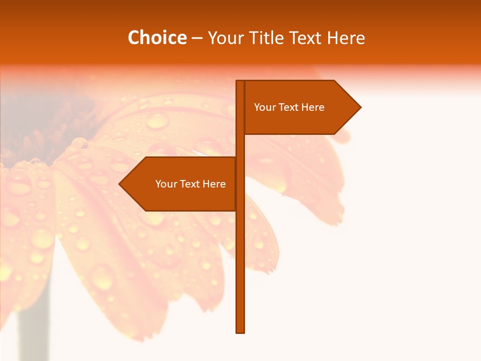 Rain Pretty Drops PowerPoint Template