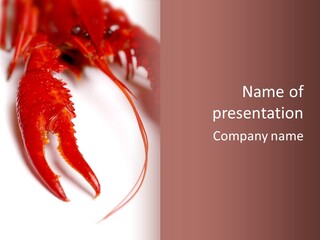 Color Crustacean Close Up PowerPoint Template