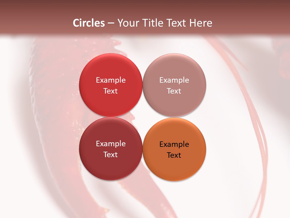 Color Crustacean Close Up PowerPoint Template