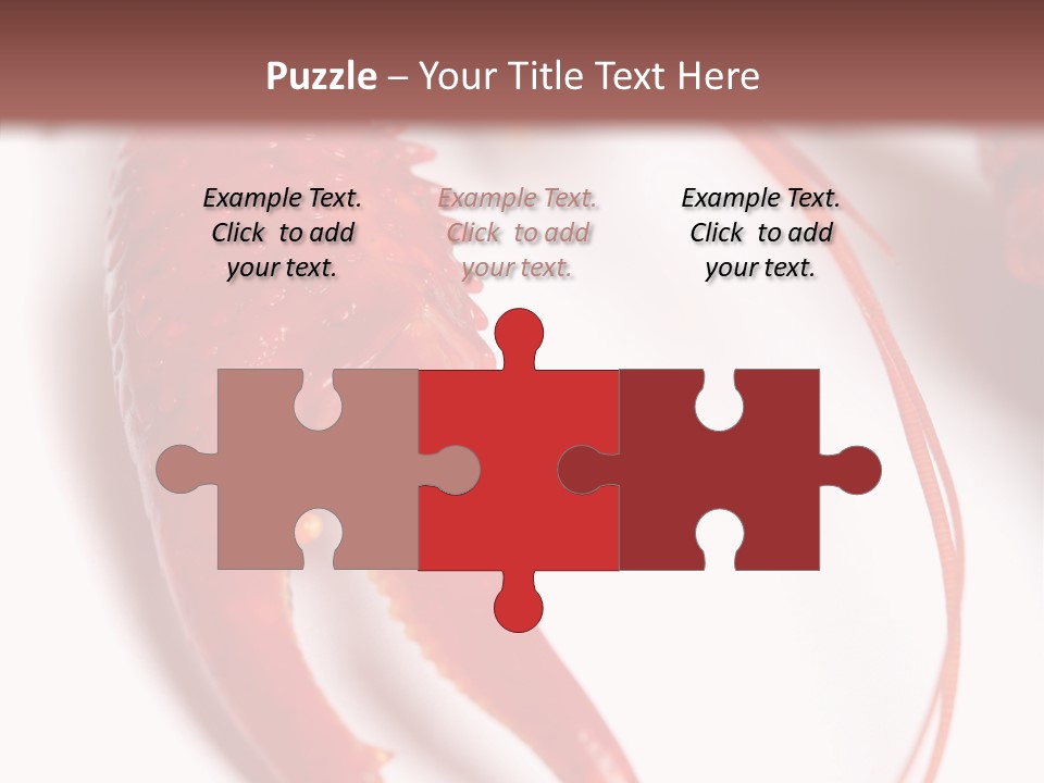 Color Crustacean Close Up PowerPoint Template