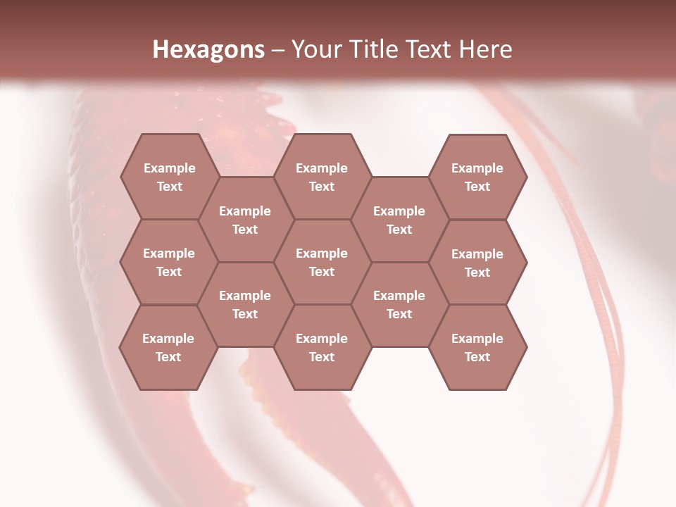 Color Crustacean Close Up PowerPoint Template