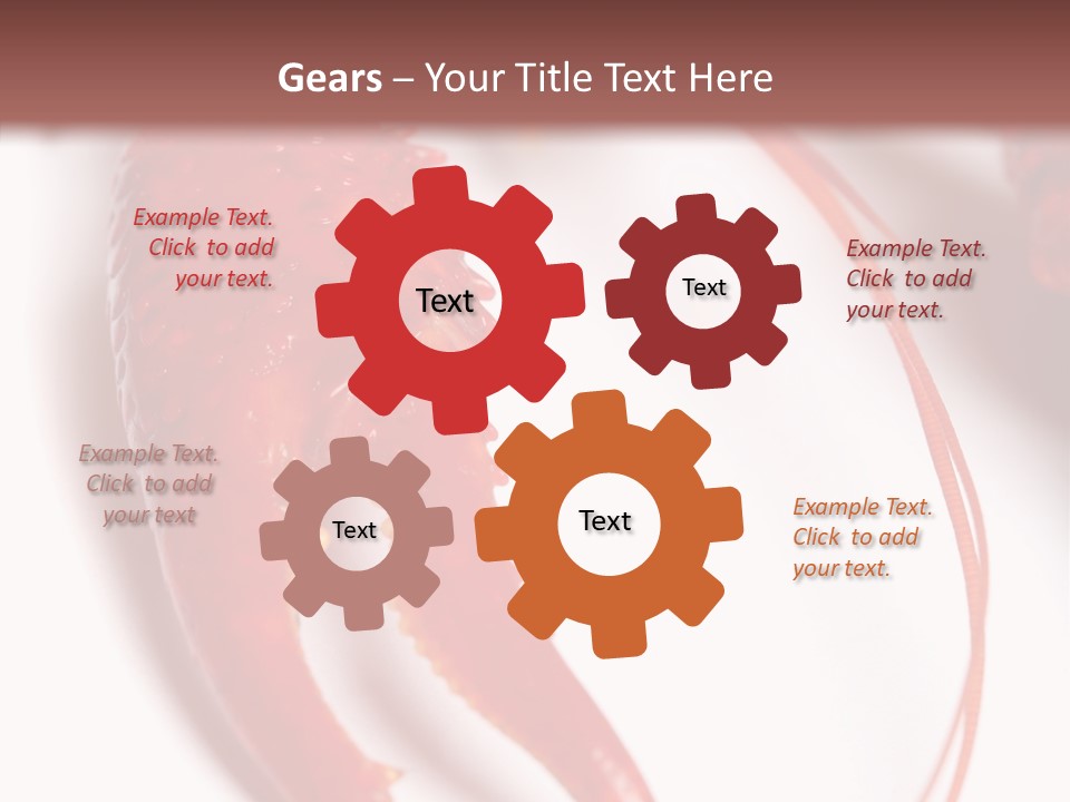 Color Crustacean Close Up PowerPoint Template
