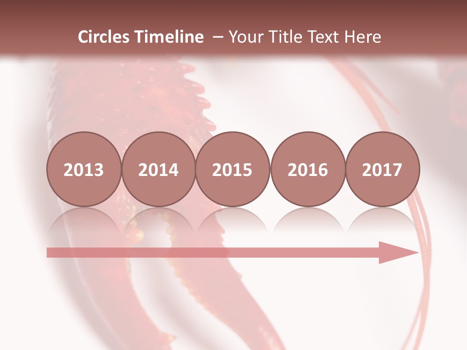 Color Crustacean Close Up PowerPoint Template