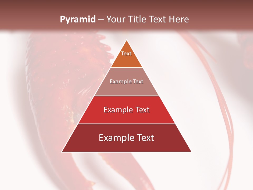 Color Crustacean Close Up PowerPoint Template