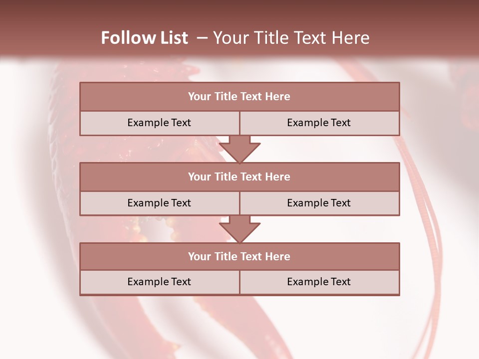 Color Crustacean Close Up PowerPoint Template