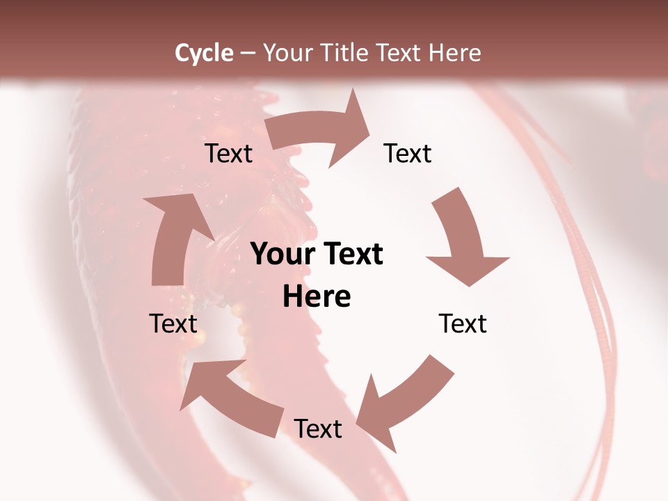 Color Crustacean Close Up PowerPoint Template