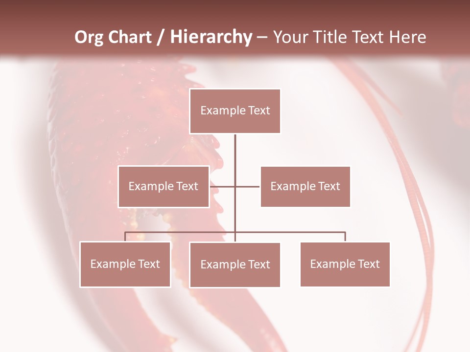 Color Crustacean Close Up PowerPoint Template