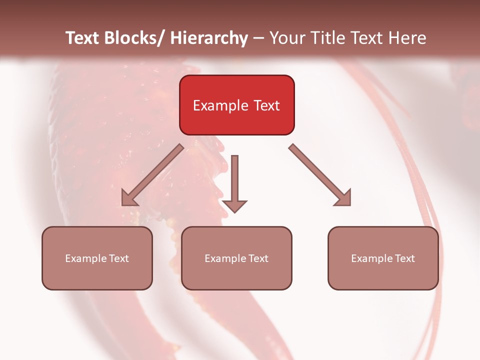 Color Crustacean Close Up PowerPoint Template