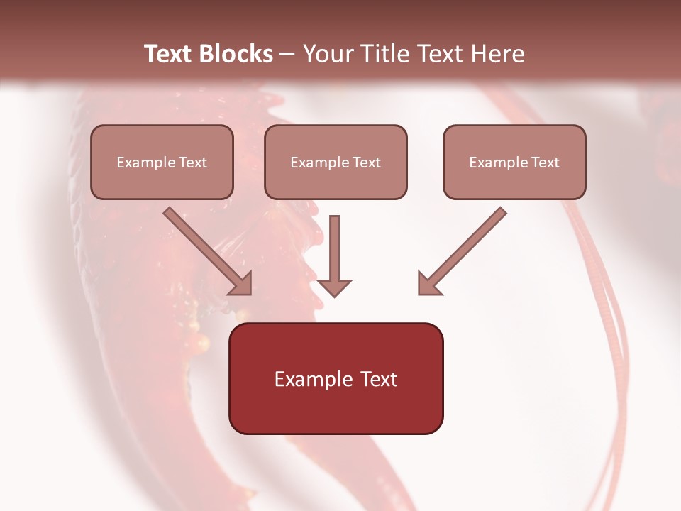 Color Crustacean Close Up PowerPoint Template
