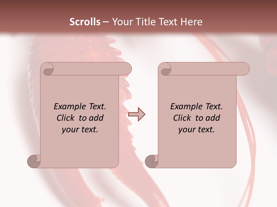 Color Crustacean Close Up PowerPoint Template