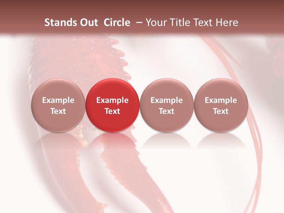 Color Crustacean Close Up PowerPoint Template