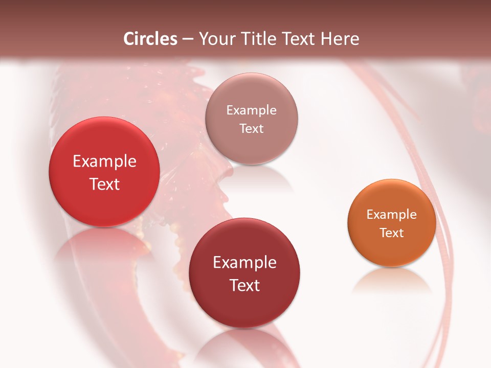 Color Crustacean Close Up PowerPoint Template