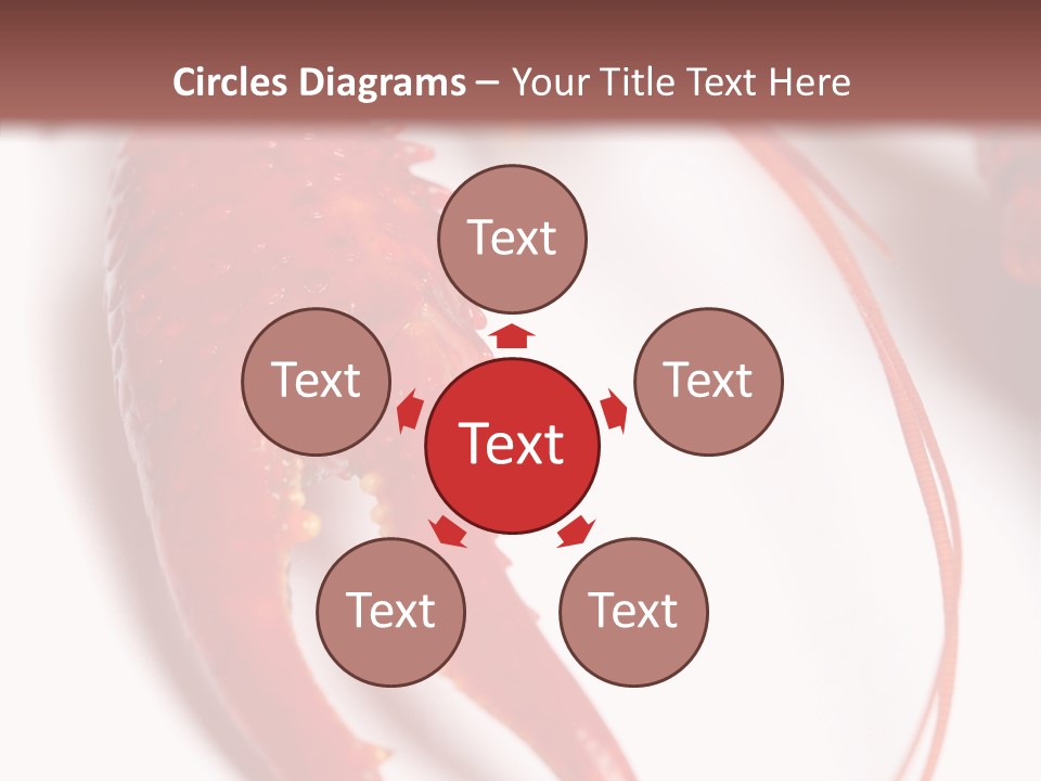 Color Crustacean Close Up PowerPoint Template