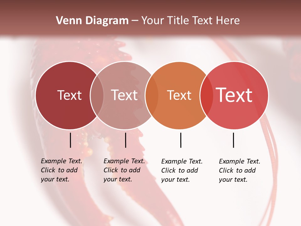 Color Crustacean Close Up PowerPoint Template