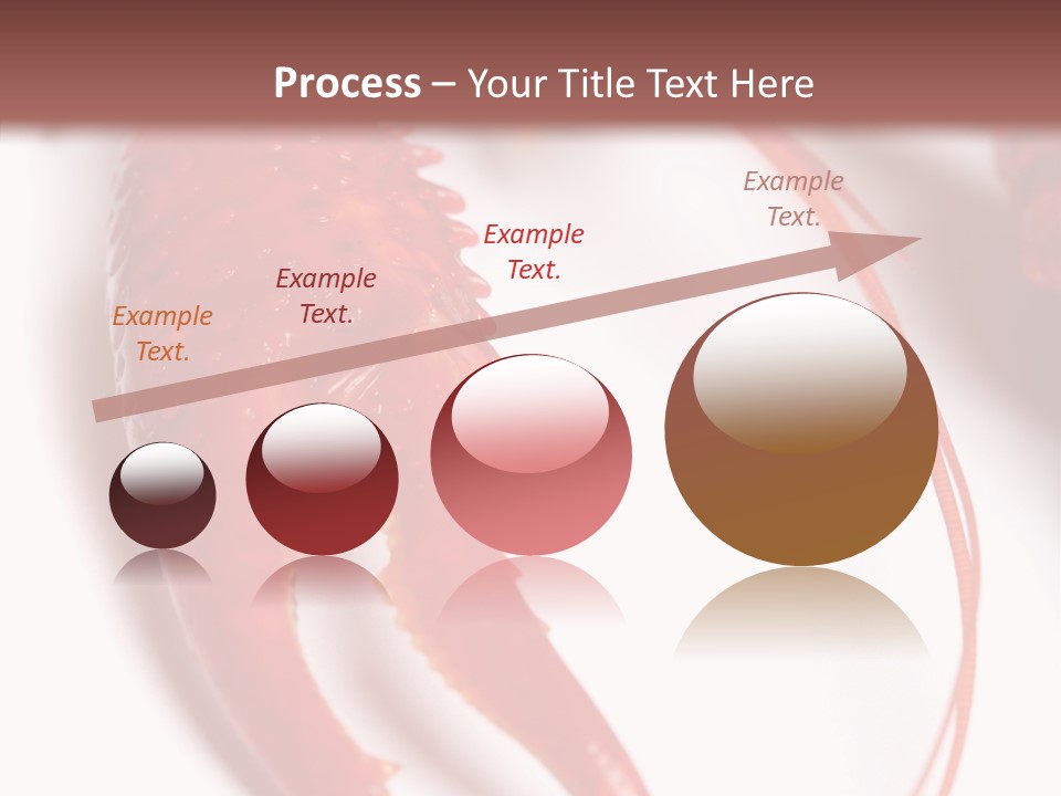 Color Crustacean Close Up PowerPoint Template