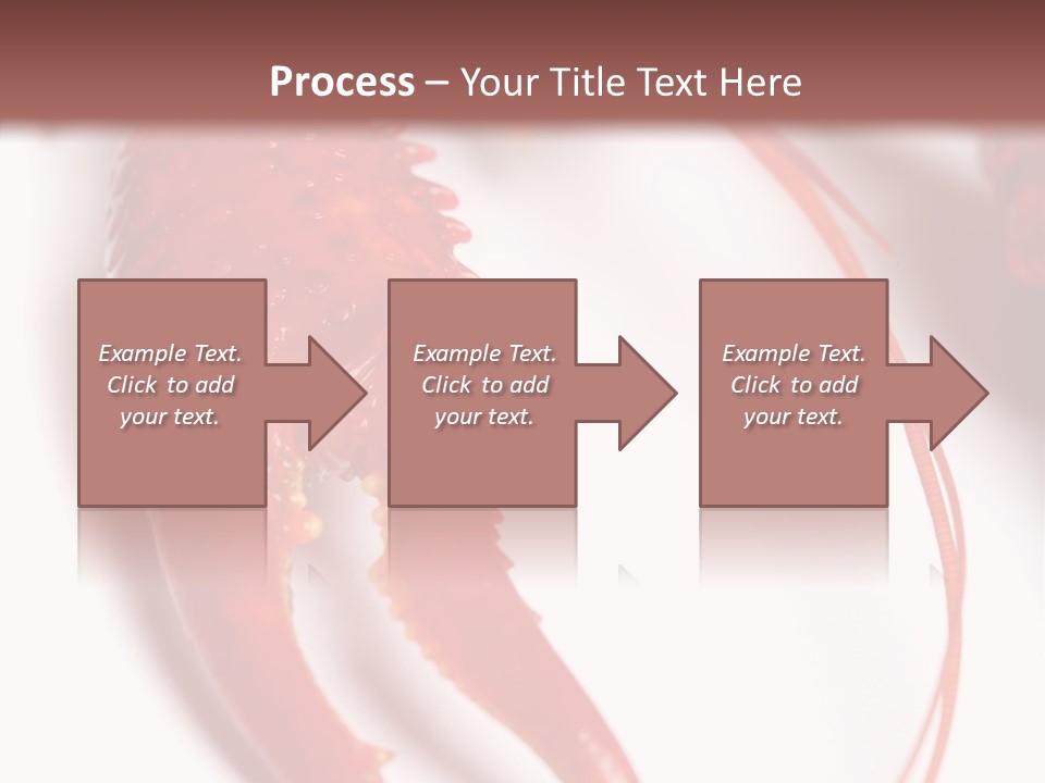 Color Crustacean Close Up PowerPoint Template