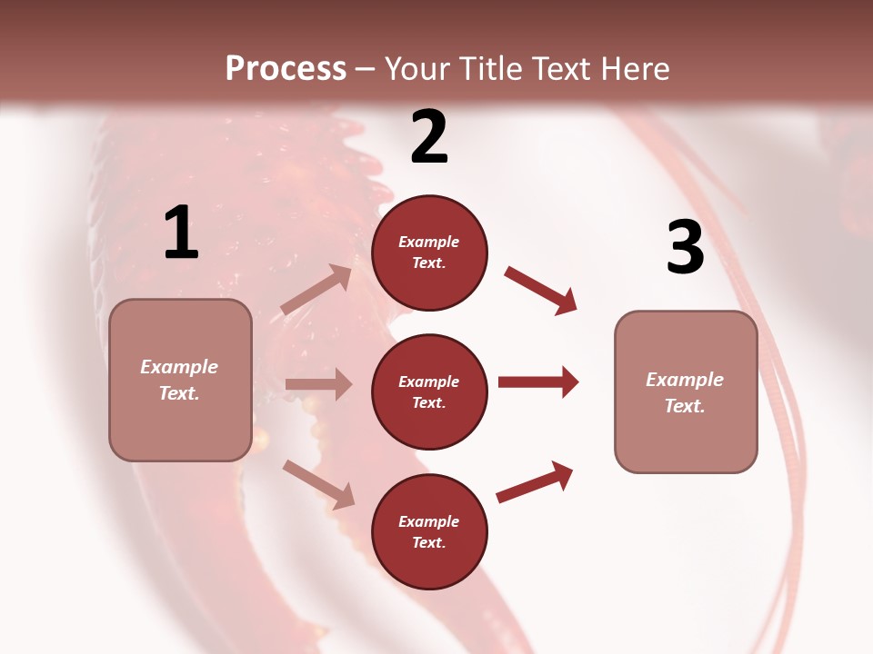 Color Crustacean Close Up PowerPoint Template